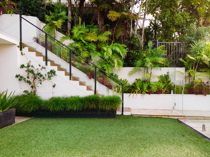 A cared-for garden in summer